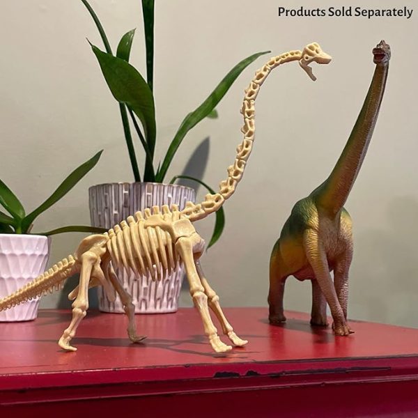 Brachiosaurus Dinosaur Excavation Kit - Image 2