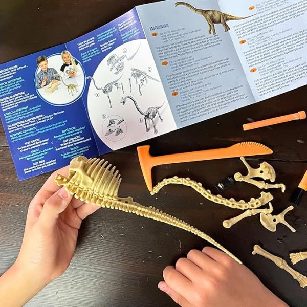 Brachiosaurus Dinosaur Excavation Kit - Image 4