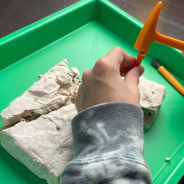 Brachiosaurus Dinosaur Excavation Kit - Image 3