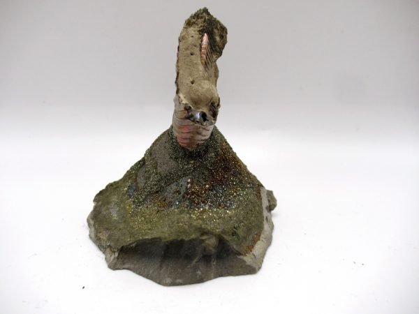 Genuine Jurassic Age Quenstedtoceras Ammonite Fossils For Sale From Russia #24a