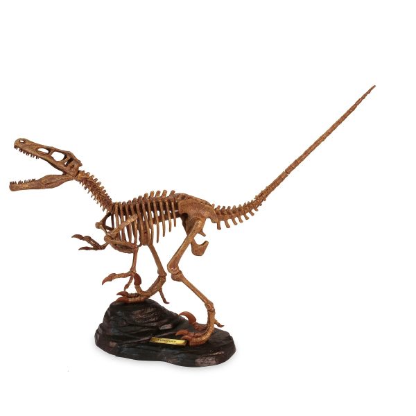 Paleo Expedition Velociraptor Exc. Kit - Image 3