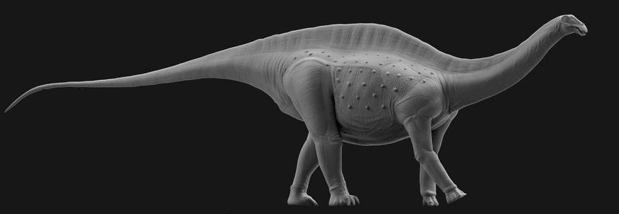 Sauropod Dinosaur Dermal Scute