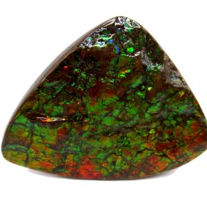 Genuine Cretaceous Age Gem Ammolite Ammonite Shell Specimen from Canada for Sale #17