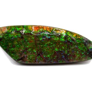 Genuine Cretaceous Age Gem Ammolite Ammonite Shell Specimen from Canada for Sale #19