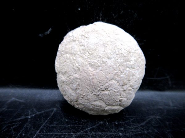 Genuine Oligocene Age Tortoise Egg Specimen From Wyoming For Sale #12
