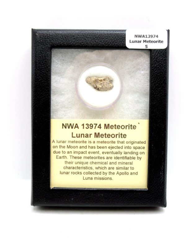 Lunar Meteorite NWA13974 | #5