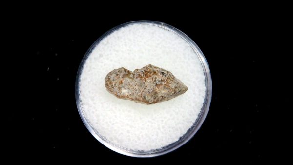 Lunar Meteorite NWA13974 | #5 - Image 2