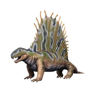 Dimetrodon