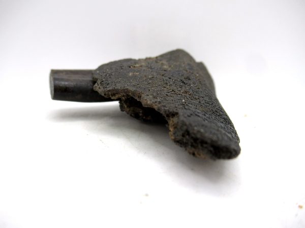 Genuine Pleistocene Age Holmesina Armadillo Jaw Section Fossil for Sale from Florida #1e