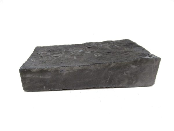 Genuine Carboniferous Fern for Sale from Germany #25b