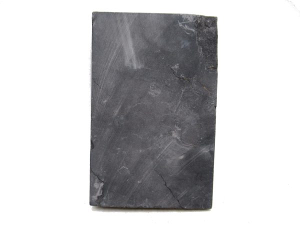 Carboniferous Fern Fossil for Sale from Germany #27 - Image 2