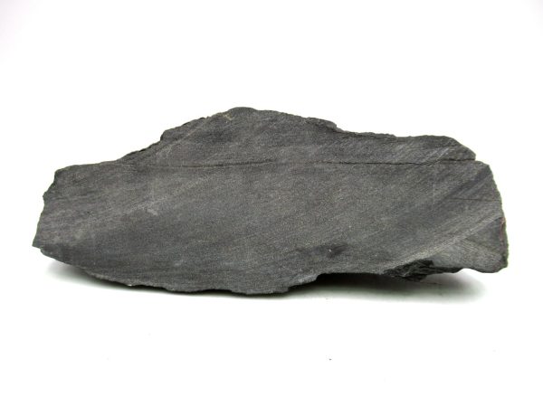 Carboniferous Fern from Germany #4 - Image 3