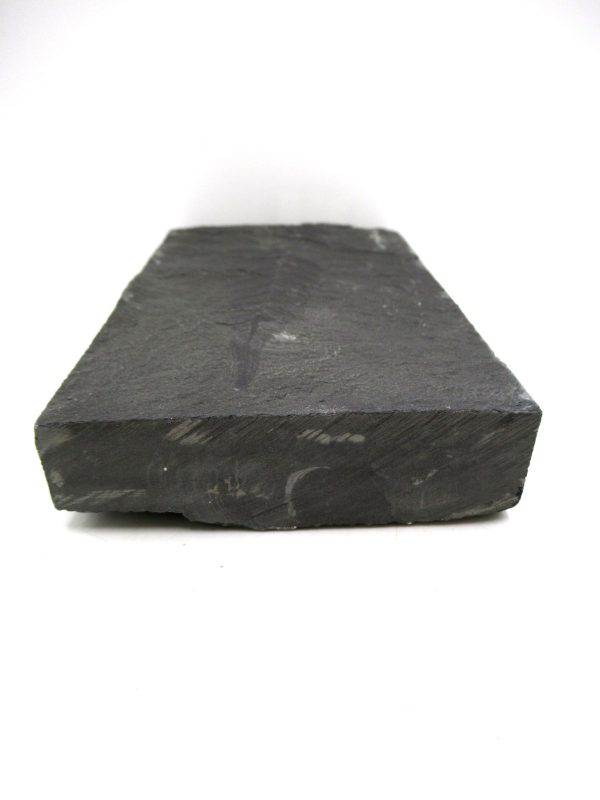 Carboniferous Fern from Germany #8 - Image 3
