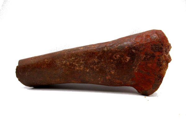 Carcharodontosaurus Dinosaur Bone #3 - Image 6