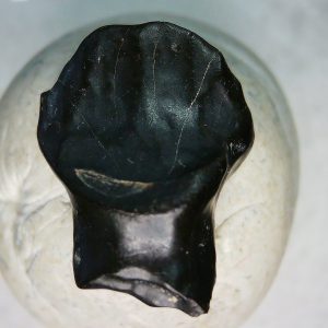 Ankylosaurus Armored Dinosaur Tooth Fossil for Sale 76