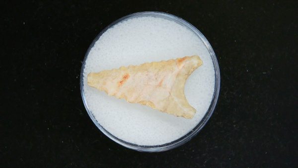 Mesolithic Curved Base Point #22