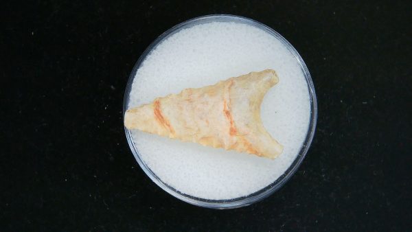 Mesolithic Curved Base Point #22 - Image 2