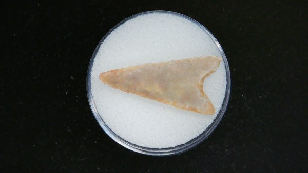 Mesolithic Curved Base Point #23 - Image 2