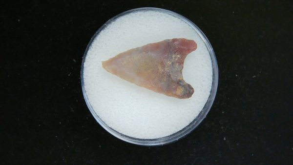 Genuine Morocco Sahara Desert Mesolithic Curved Base Point For Sale #25a