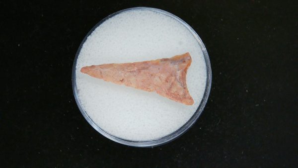 Mesolithic Curved Base Point #27