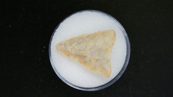 Mesolithic Curved Base Point #28