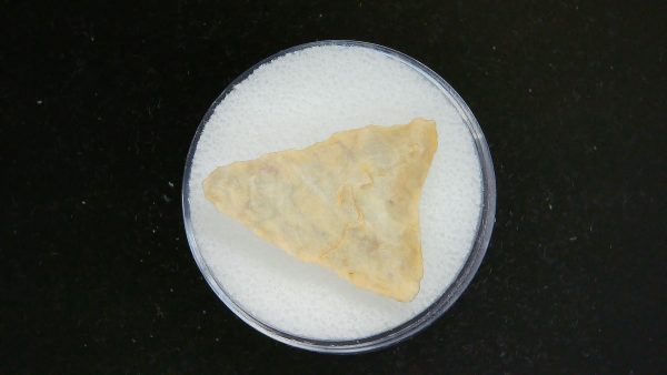Mesolithic Curved Base Point #28 - Image 2