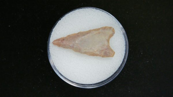 Mesolithic Curved Base Point #29