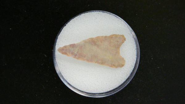 Mesolithic Curved Base Point #29 - Image 2
