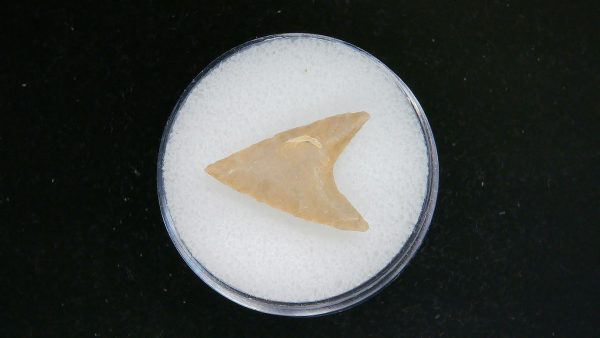 Genuine Morocco Sahara Desert Mesolithic Curved Base Point For Sale #30a
