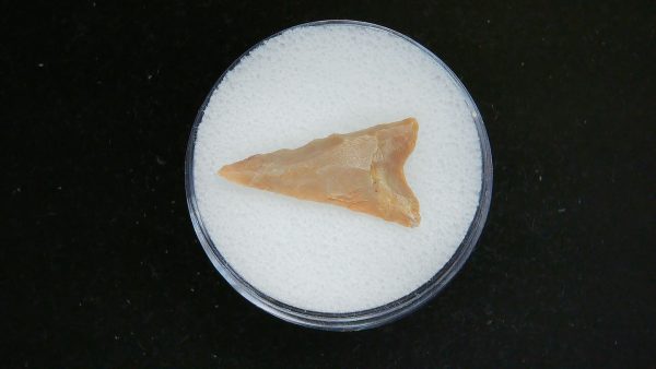 Mesolithic Curved Base Point #31
