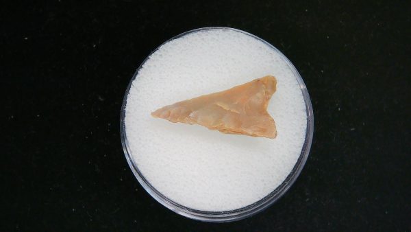 Mesolithic Curved Base Point #31 - Image 2