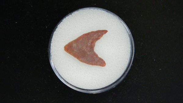 Mesolithic Curved Base Point #32