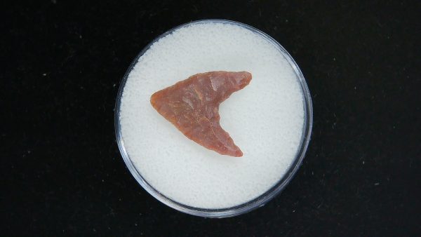 Mesolithic Curved Base Point #32 - Image 2