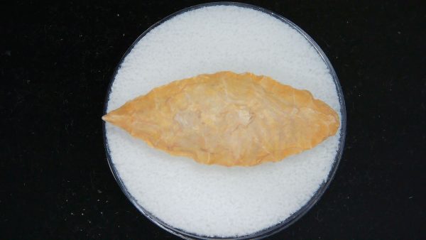 Mesolithic Laurel Leaf Point #10