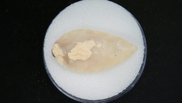 Mesolithic Laurel Leaf Point #11 - Image 2