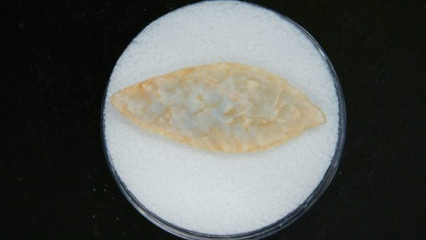 Genuine Morocco Sahara Desert Mesolithic Laurel Point For Sale #12