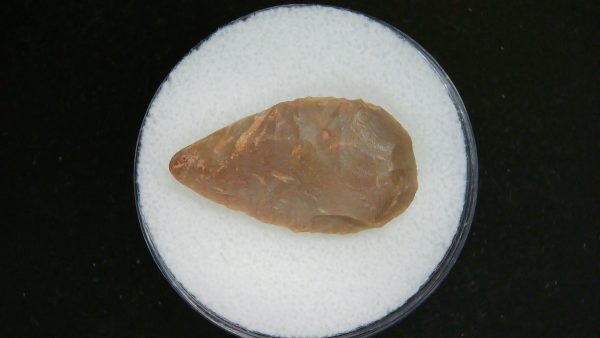 Mesolithic Laurel Leaf Point #13