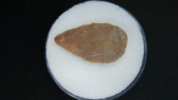 Mesolithic Laurel Leaf Point #13 - Image 2