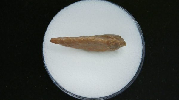 Mesolithic Laurel Leaf Point #13 - Image 3