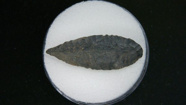 Mesolithic Laurel Leaf Point #14 - Image 2