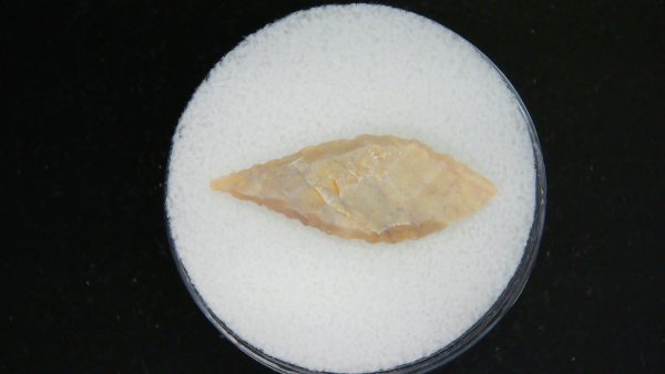 Mesolithic Laurel Leaf Point #15