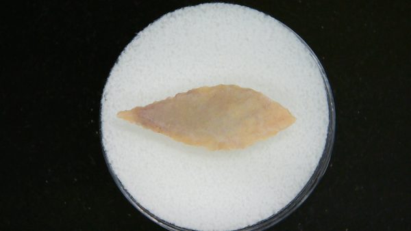 Mesolithic Laurel Leaf Point #15 - Image 2