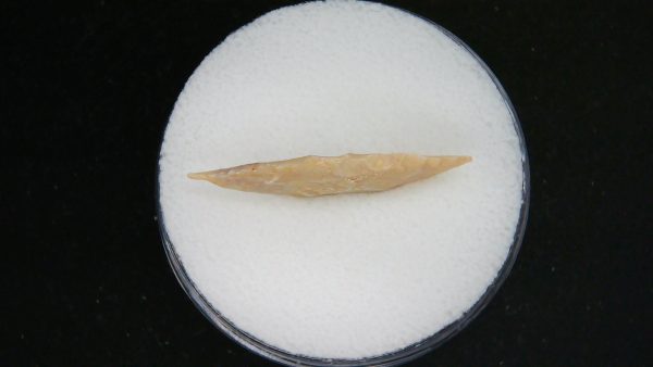 Mesolithic Laurel Leaf Point #15 - Image 3