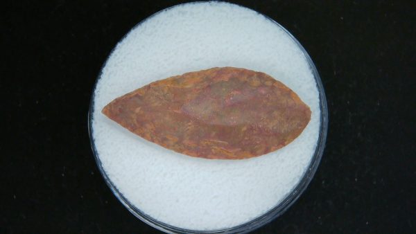 Genuine Morocco Sahara Desert Mesolithic Laurel Point For Sale #16
