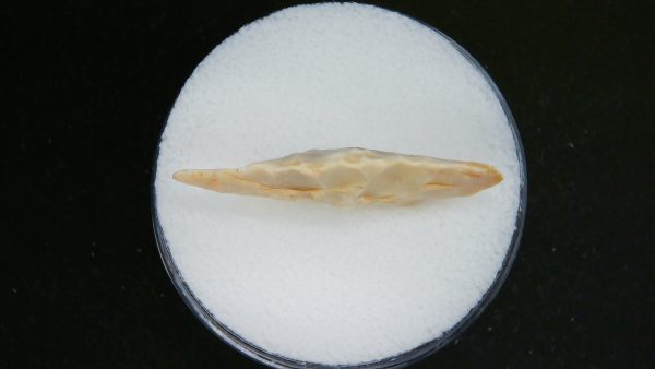 Mesolithic Laurel Leaf Point #17 - Image 3