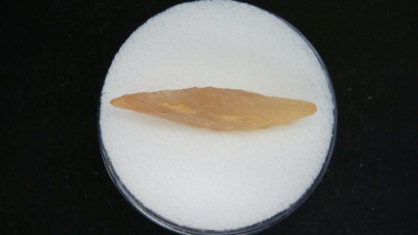 Genuine Morocco Sahara Desert Mesolithic Laurel Point For Sale #19b