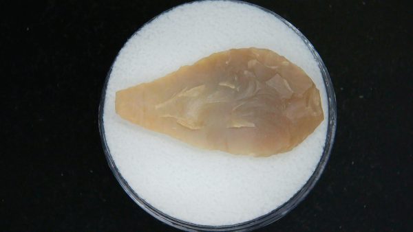 Mesolithic Laurel Leaf Point #20