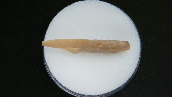 Mesolithic Laurel Leaf Point #20 - Image 3