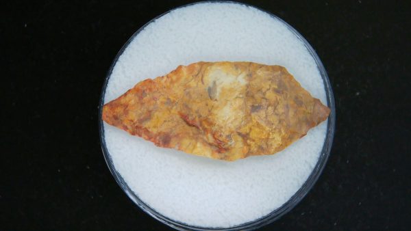 Mesolithic Laurel Leaf Point #21
