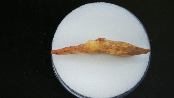Mesolithic Laurel Leaf Point #21 - Image 3